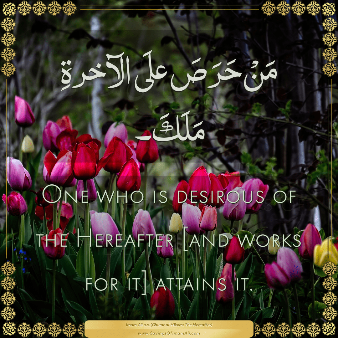 One who is desirous of the Hereafter [and works for it] attains it.